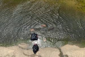 Orín, excremento y 16 perros