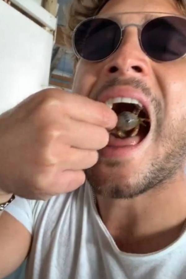 boneta