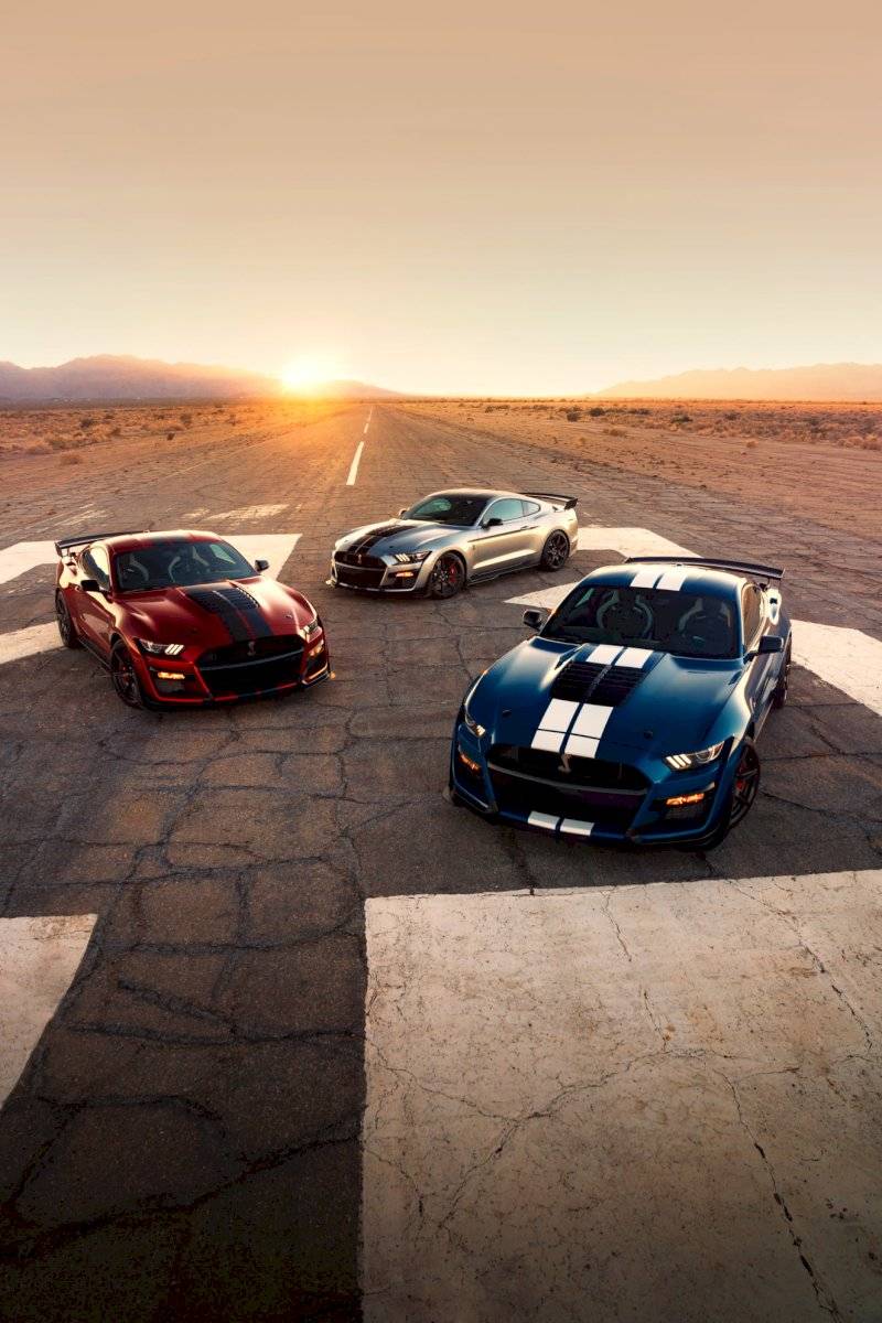 shelbygt5002020m-94ffab3339a3fd743d0f9f6b1643926d.jpg