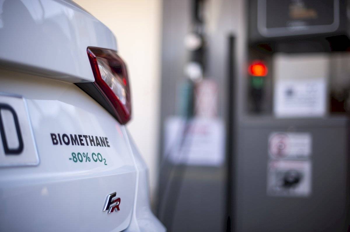 SEAT-biocombustible