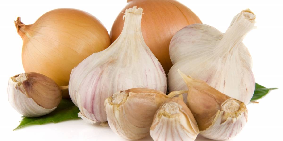Sofrito de ajo y cebolla previene el cáncer de seno