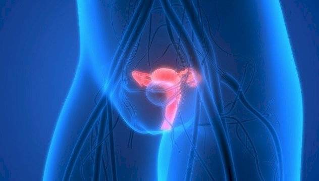 Cuello Uterino