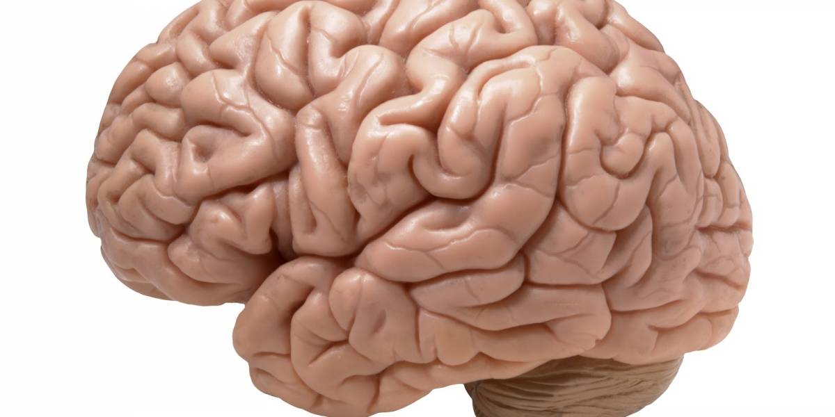 Coronavirus: Covid-19 dañaría funciones cognitivas y el cerebro envejecería 10 años