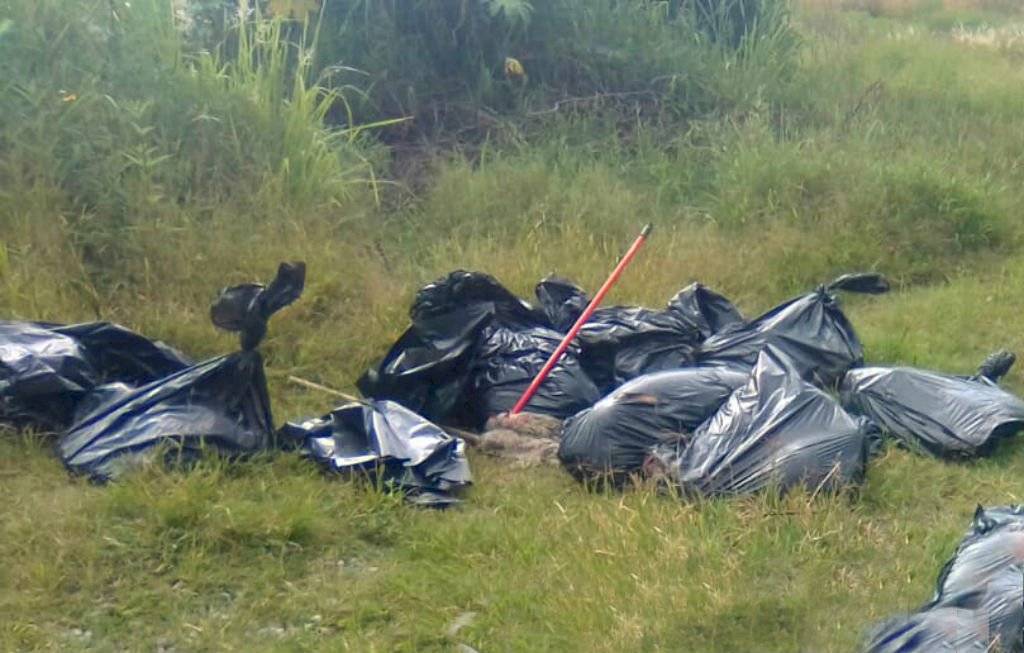 Cadáveres hallados dentro de bolsas en Tala comenzaron a ser identificados