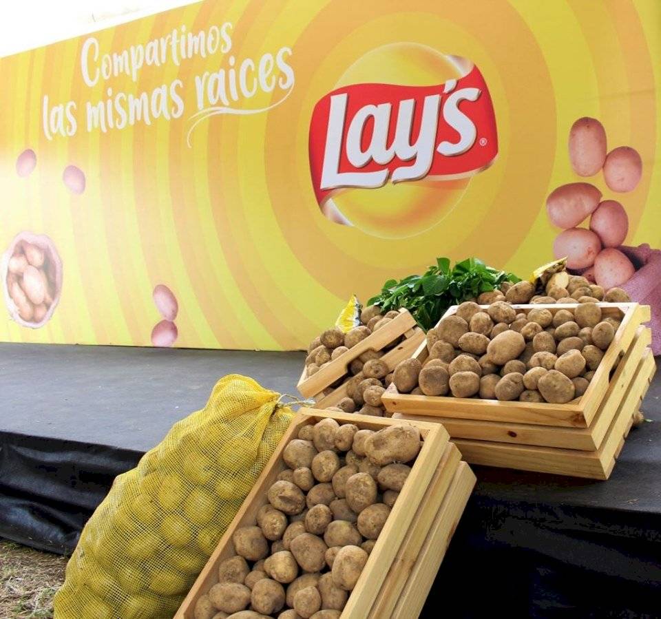 Papas Lay