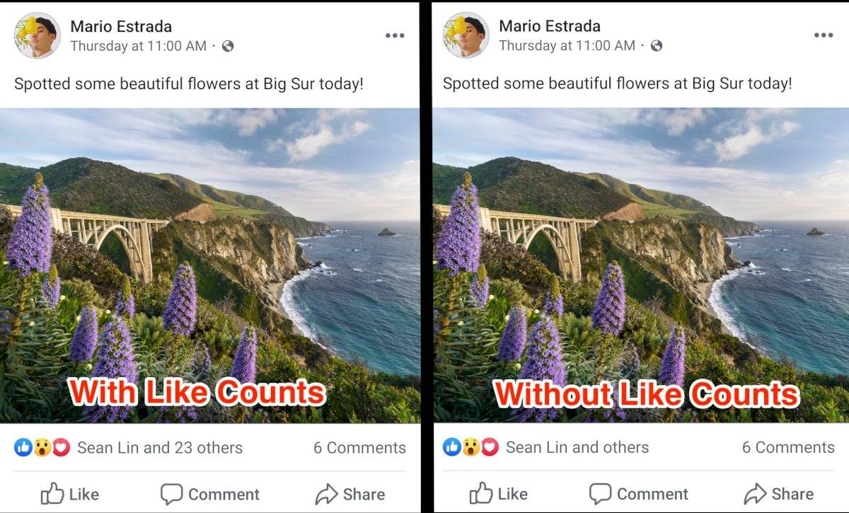Likes