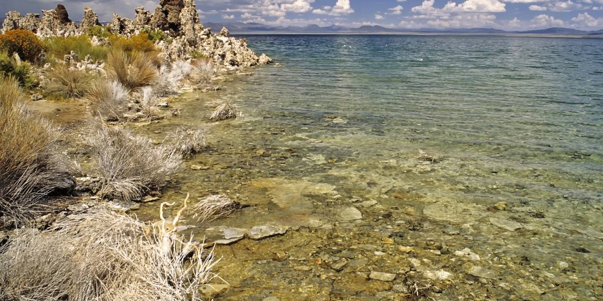 Encuentran una sorprendente especie de gusano de tres sexos en uno de los lagos más inhabitables del mundo