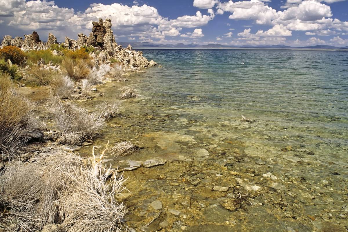 Encuentran una sorprendente especie de gusano de tres sexos en uno de los lagos más inhabitables del mundo