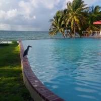Alta tasa de ocupación en los hoteles de la isla para el fin de semana del 4 de julio