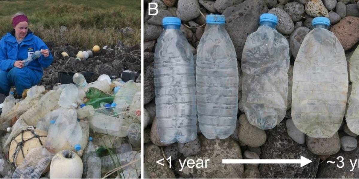 Estudio demuestra que desde los barcos lanzan botellas plásticas a los océanos