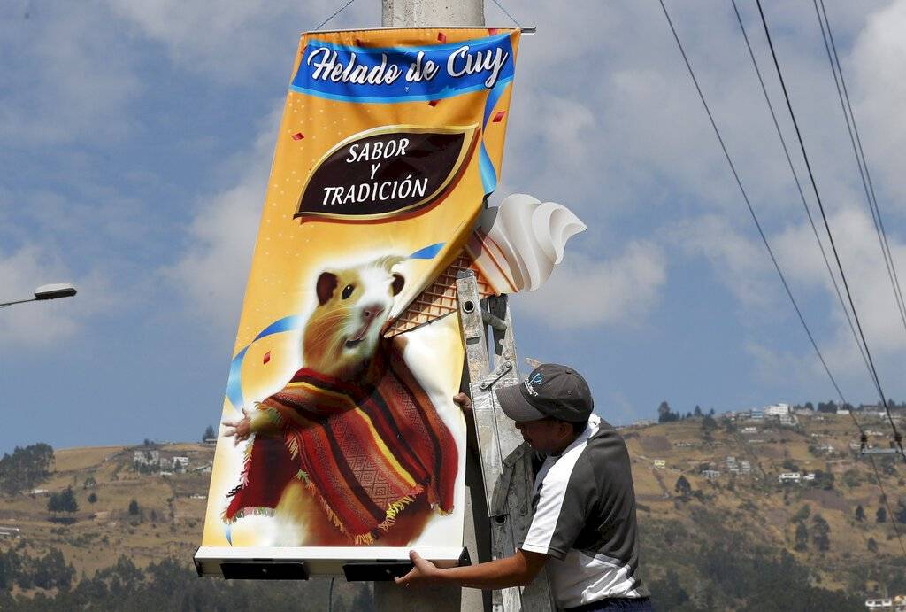helado de cuy