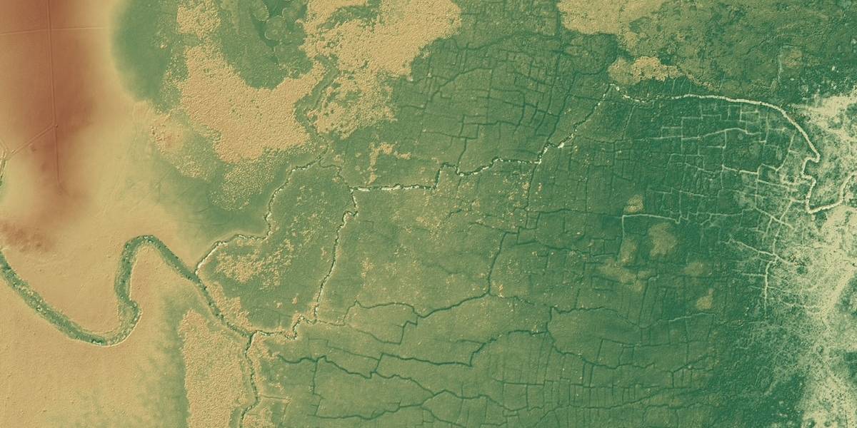 Los mayas afectaron los bosques tropicales al construir canales y quemar campos para cultivar