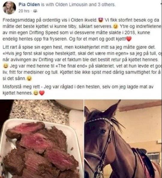caballo comida