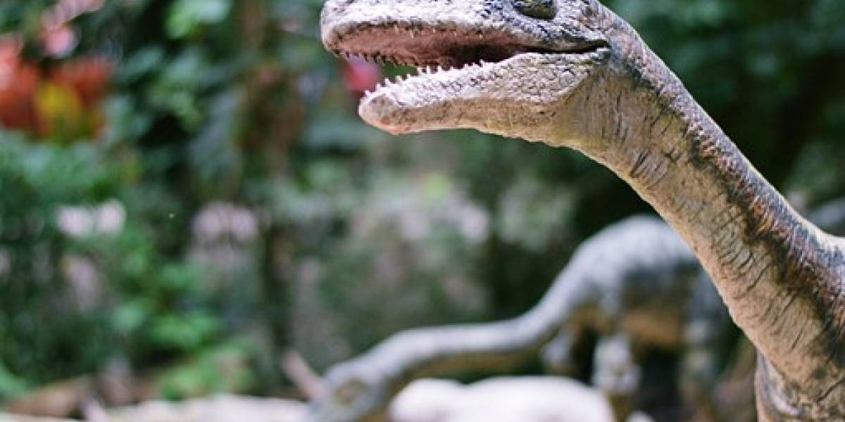 Descubren una nueva especie de dinosaurio cuatro veces más grande que un Velociraptor