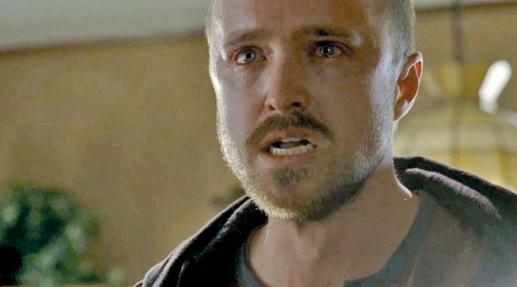 Breaking Bad Rabid Dog