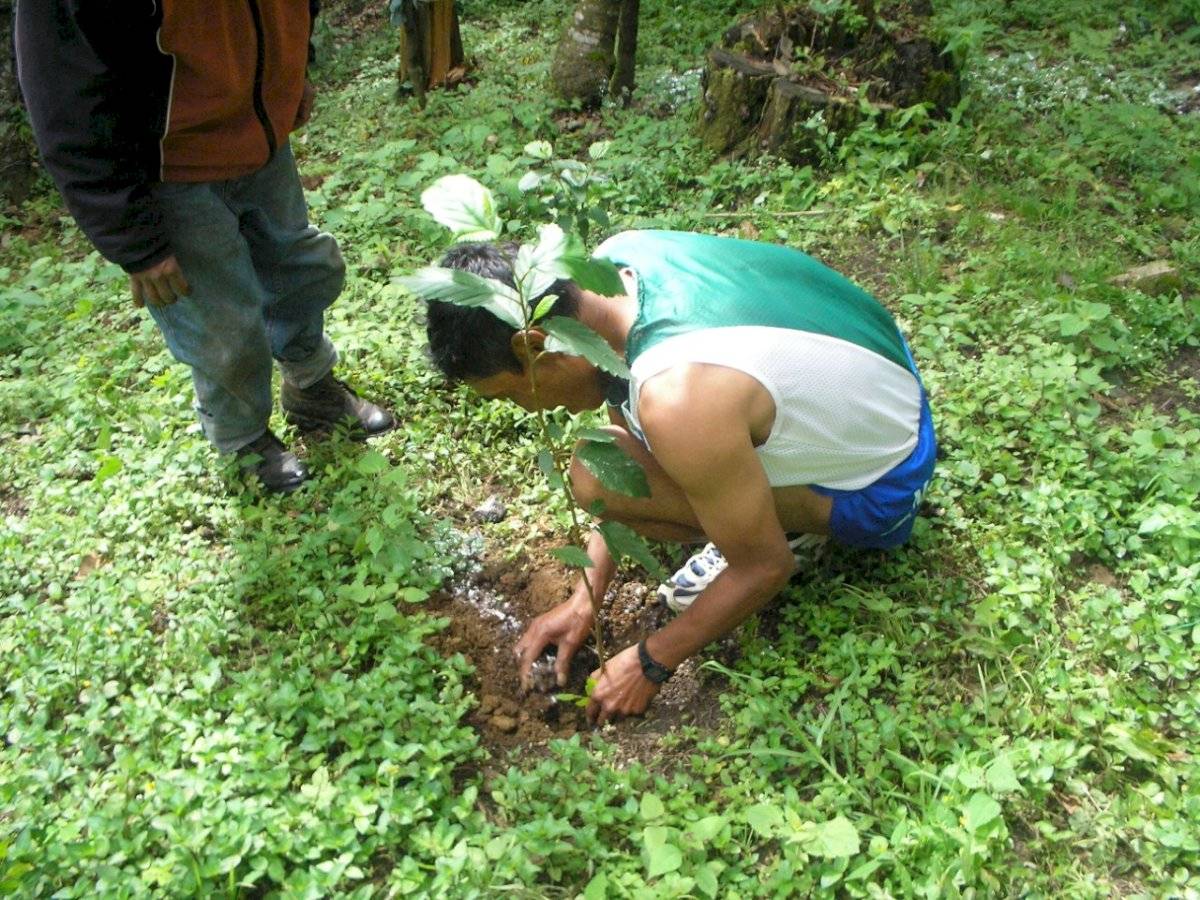 Carrera ecológica por el cerro Alux