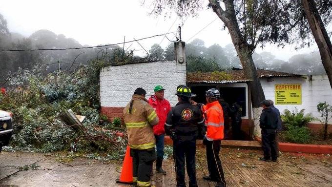 Árbol cae en restaurante en San Lucas Sacatepéquez