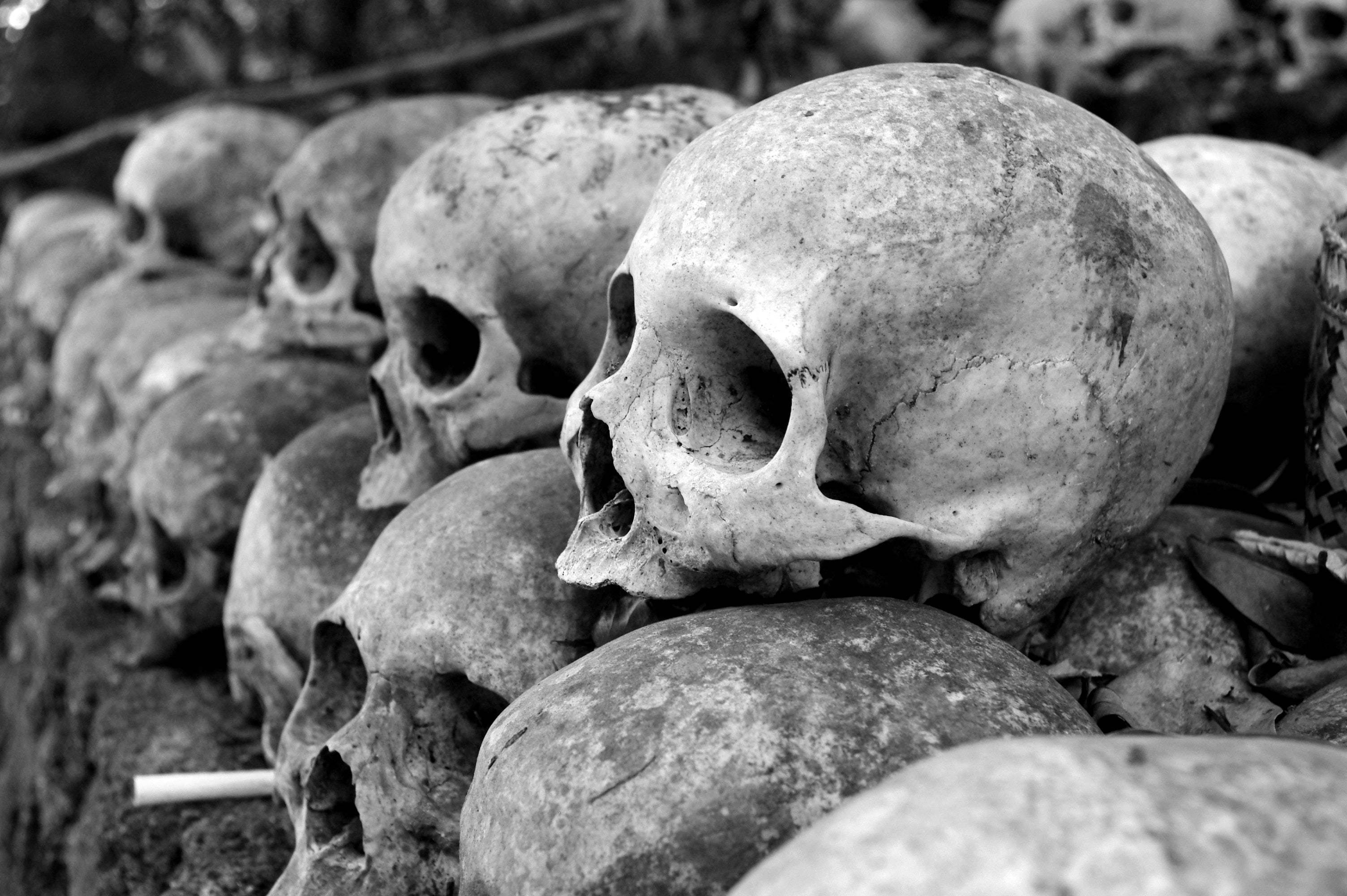 Pandemias: esta es la verdadera razón por la que existen y son culpa del humano Pandemias: esta es la verdadera razón por la que existen y son culpa del humano