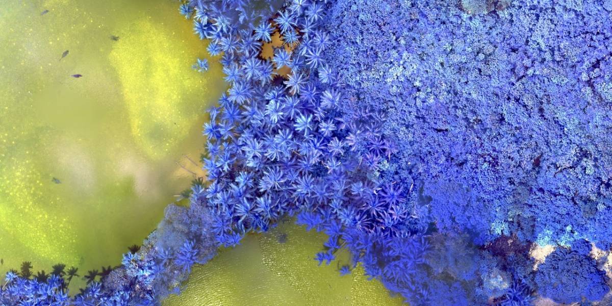La NASA muestra una impresionante óptica artística de la Tierra