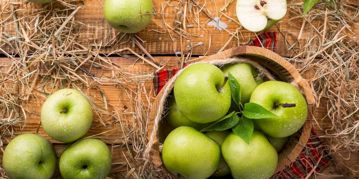 Metabolismo naturalmente como acelerar el