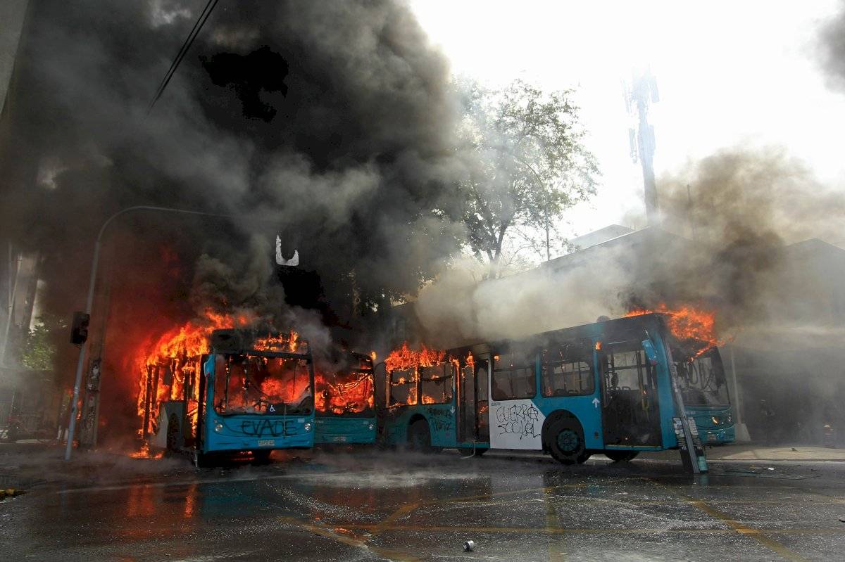 buses