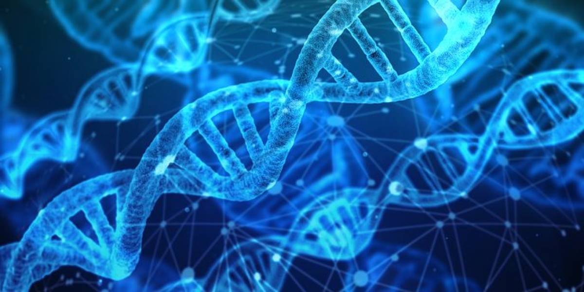Desarrollan nueva herramienta de edición para “reemplazar” genes sin romper el ADN