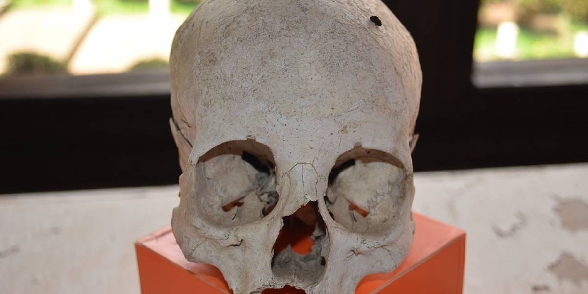De terror: En México encontraron un altar con restos humanos resultado de "sacrificios" al diablo por parte del narco