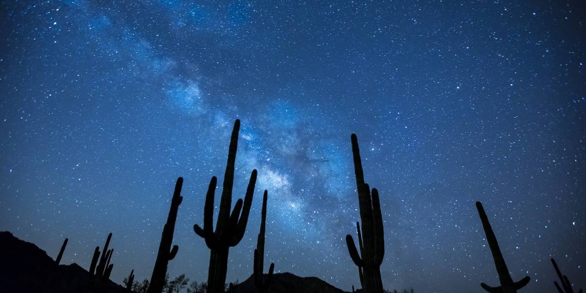 Contaminación lumínica: al año se pierde hasta un 4% de los cielos oscuros