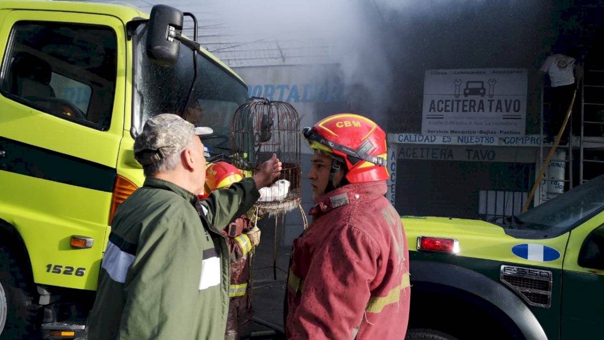 incendio en zona 9
