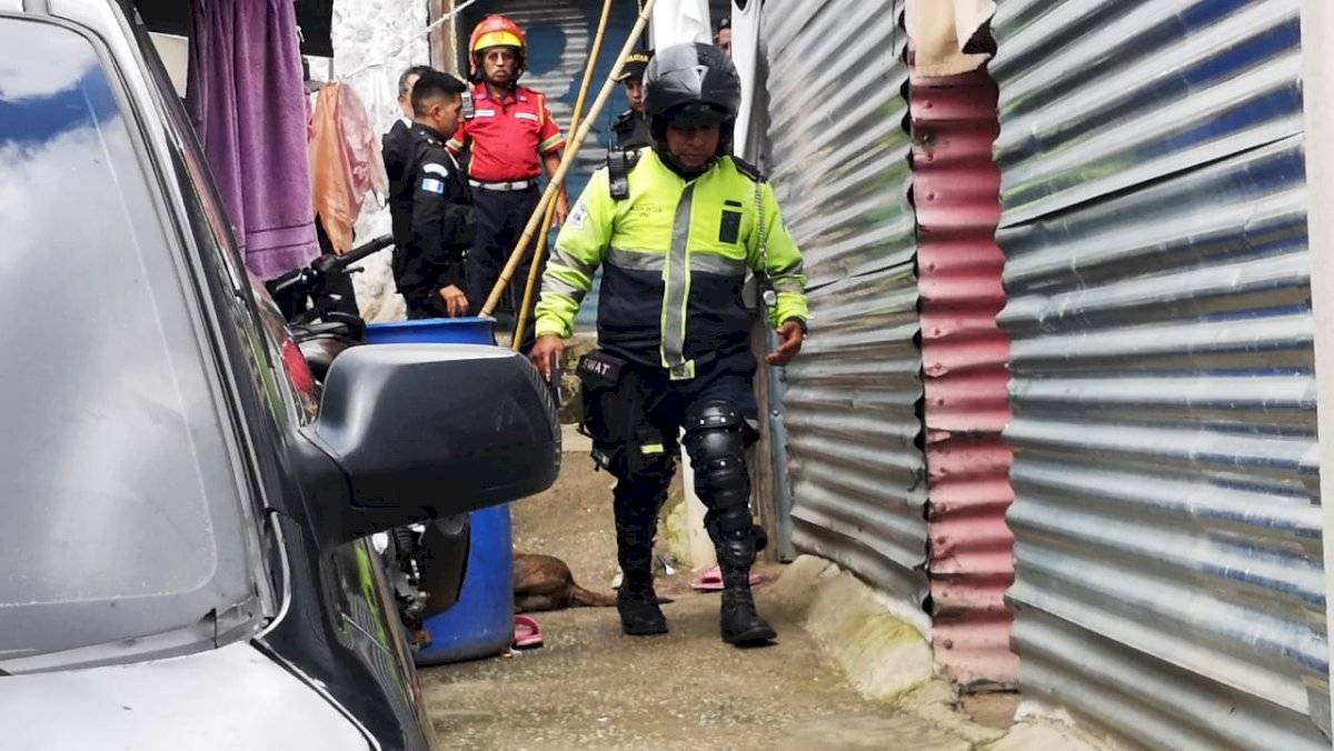 niña muere tras ser atacada por perro en Mixco
