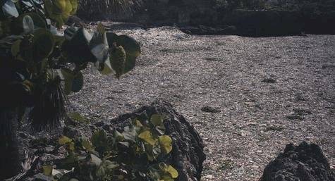 Isla de plástIco