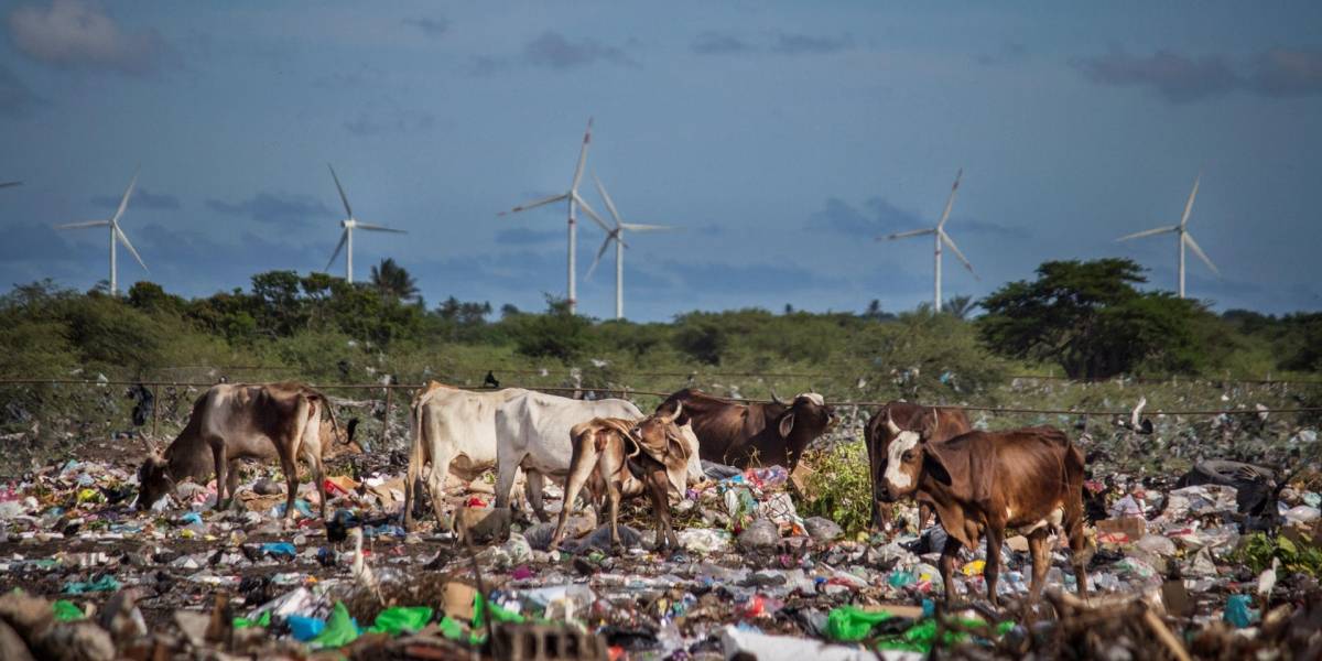 Miles de científicos dan tremendo espaldarazo al cambio climático: Suscriben carta para declarar emergencia global