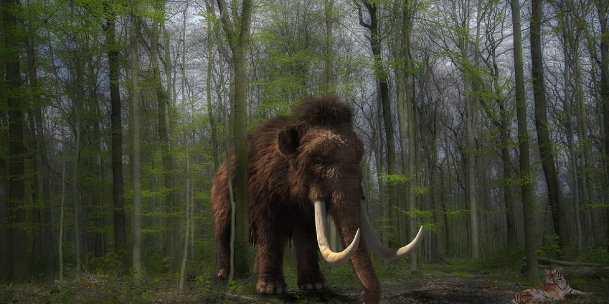 Gran momento histórico en México: Encontraron la primera trampa de mamut del mundo entero