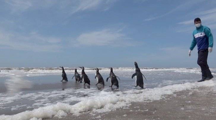 ft