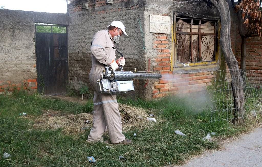 Aumenta a 24 el número de muertes por dengue en Jalisco