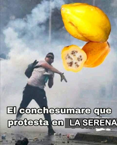 meme protesta