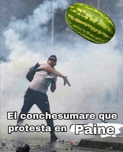 meme protesta