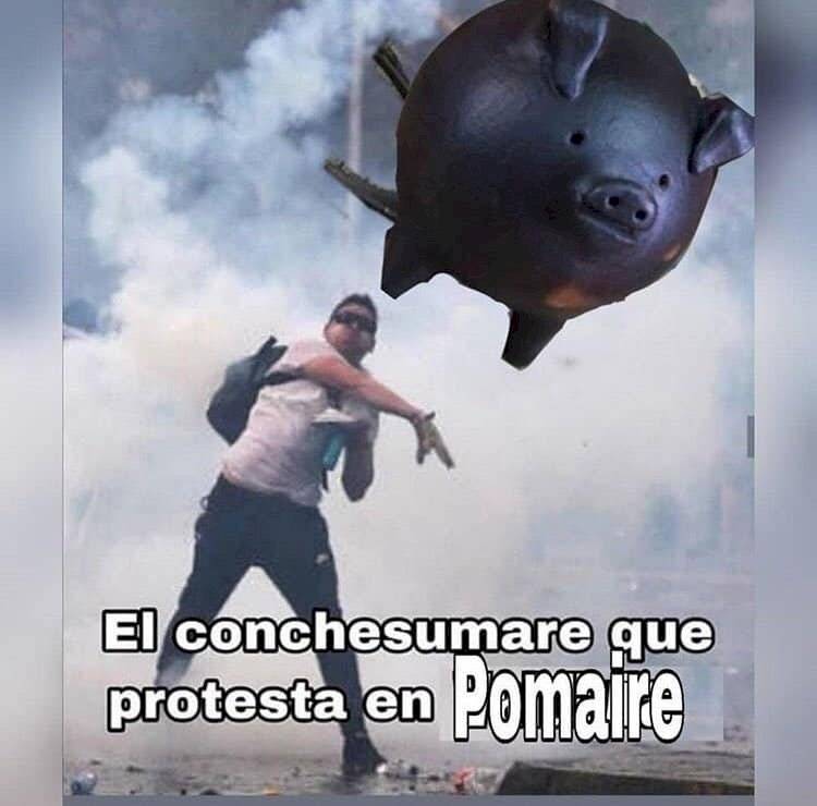 meme protesta