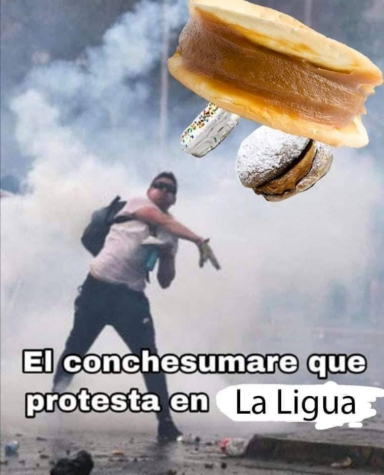 meme protesta