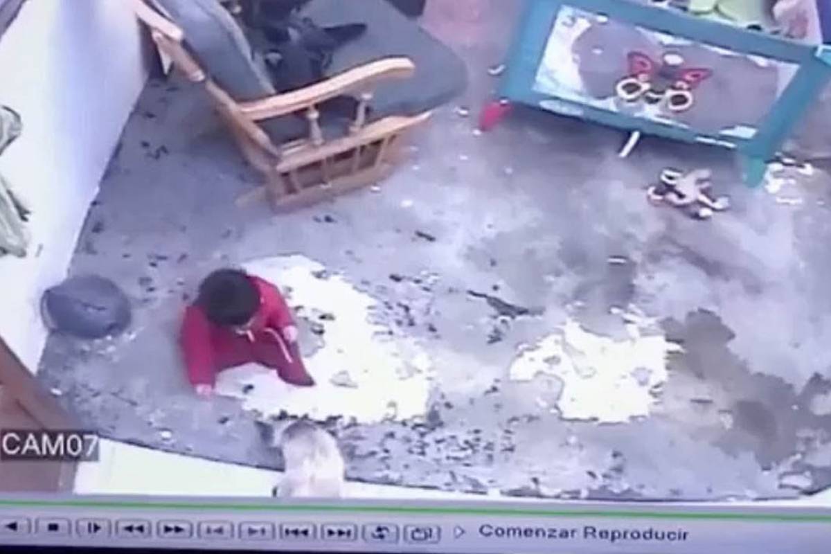 Vídeo flagra momento em que gato salva bebê de cair de escada - Metro Jornal