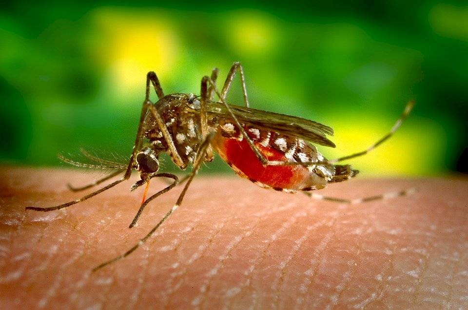 Coronavirus: estas son las ventajas que Latinoamérica tiene para combatir la pandemia