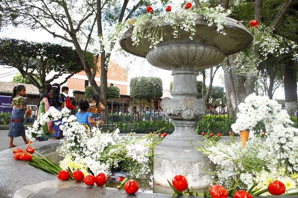 Flores - Antigua Guatemala