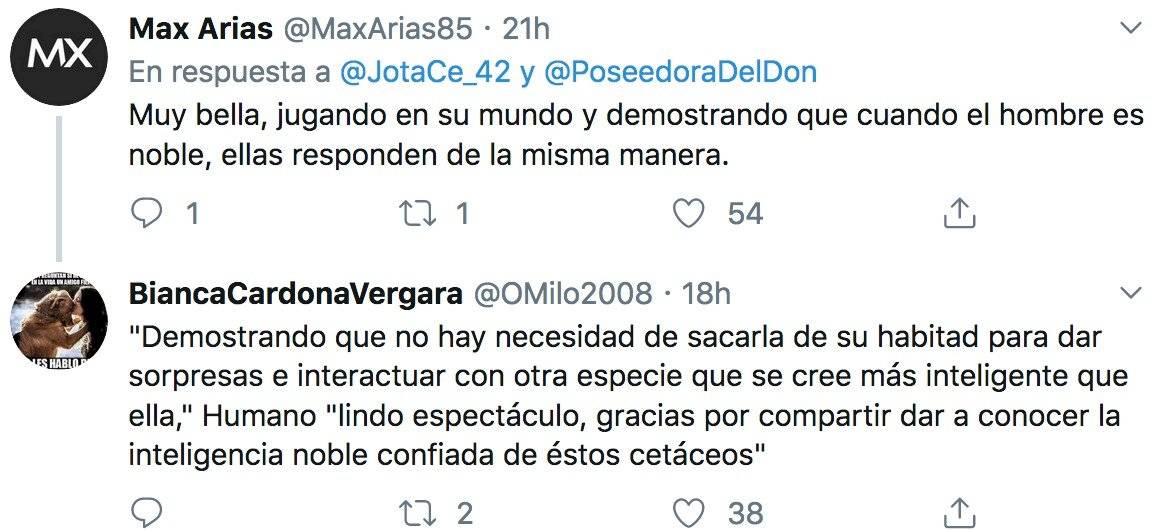 Comentario twitter
