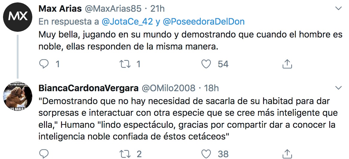 Comentario twitter
