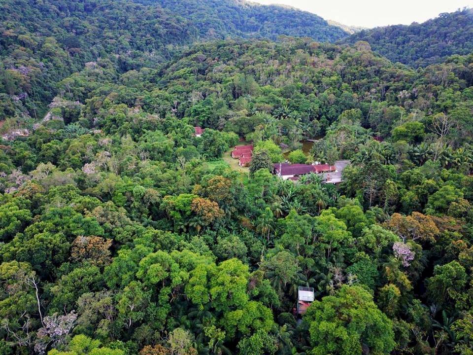 Tapiraí