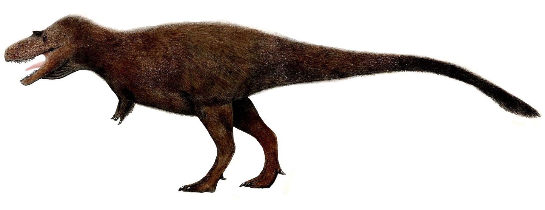 México Dinosaurios México Dinosaurios