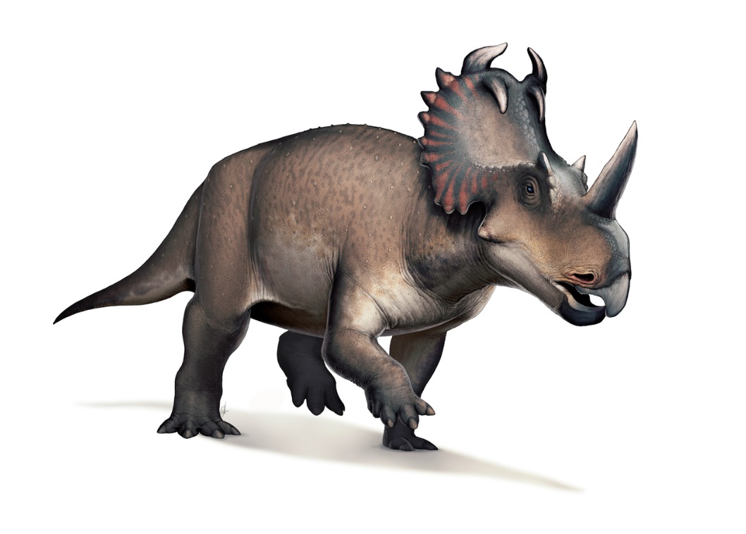 México Dinosaurios México Dinosaurios