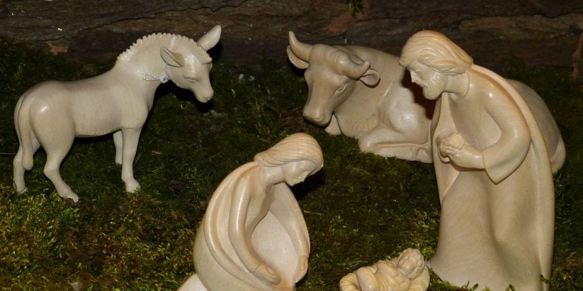 México, cuidado con cómo colocas tu nacimiento: Vender heno y musgo es ilegal y pone en peligro a los bosques