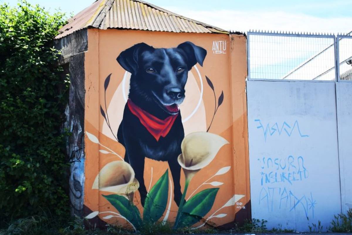 En Iquique Realizan Estatua En Honor A Perro Negro Matapacos