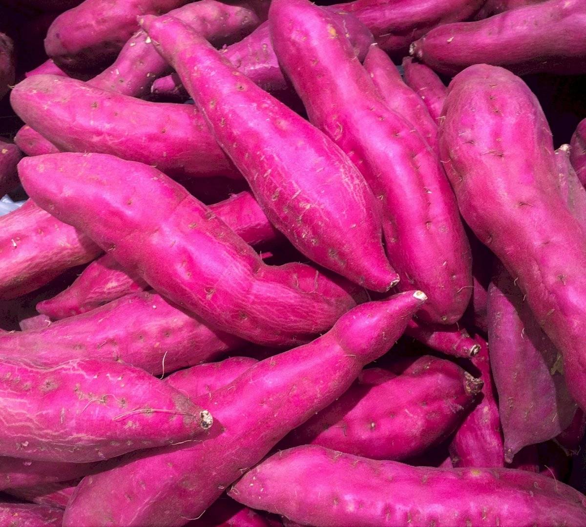 batata doce
